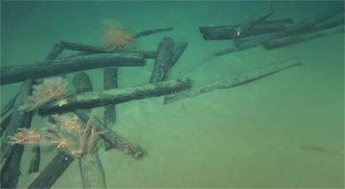 中国载人潜水器开到南海沉船遗址 开启深海考古新篇