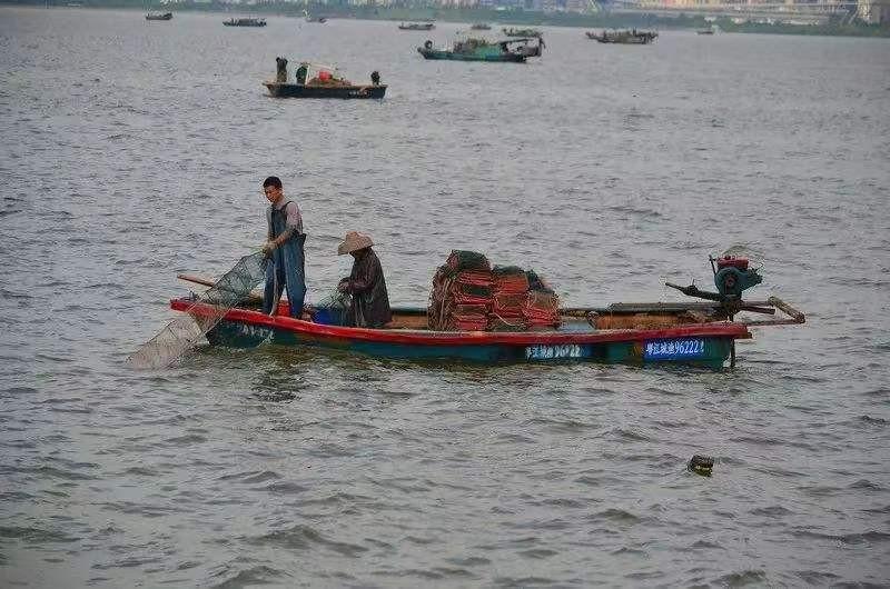 2012年福建渔夫在海上捡到一条鱼，卖出三百万天价，一夜暴富