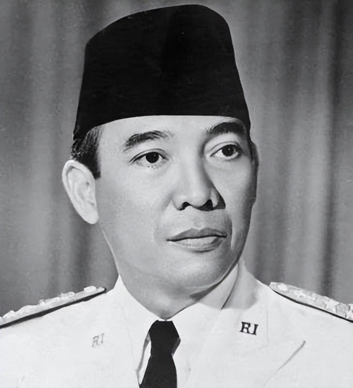 1956年，毛主席会见印尼总统苏加诺时曾预言：台湾只有两条出路