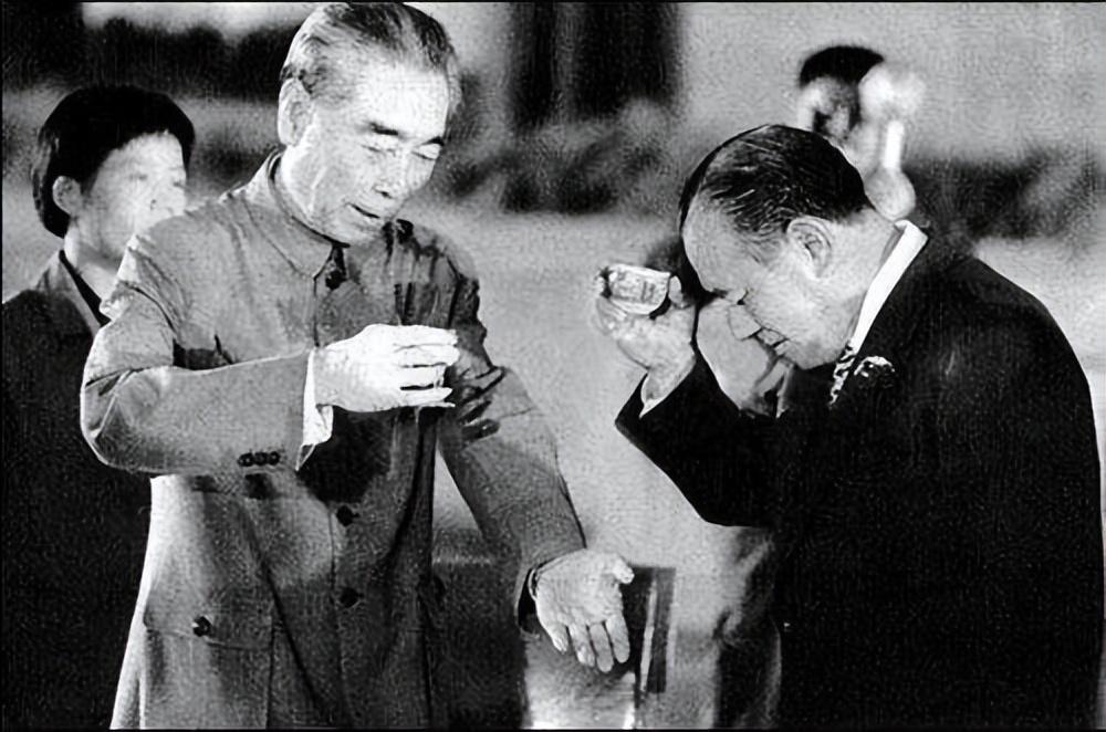 1978年邓小平访日，会见日本在野党领导人：我是来找长生不老药的