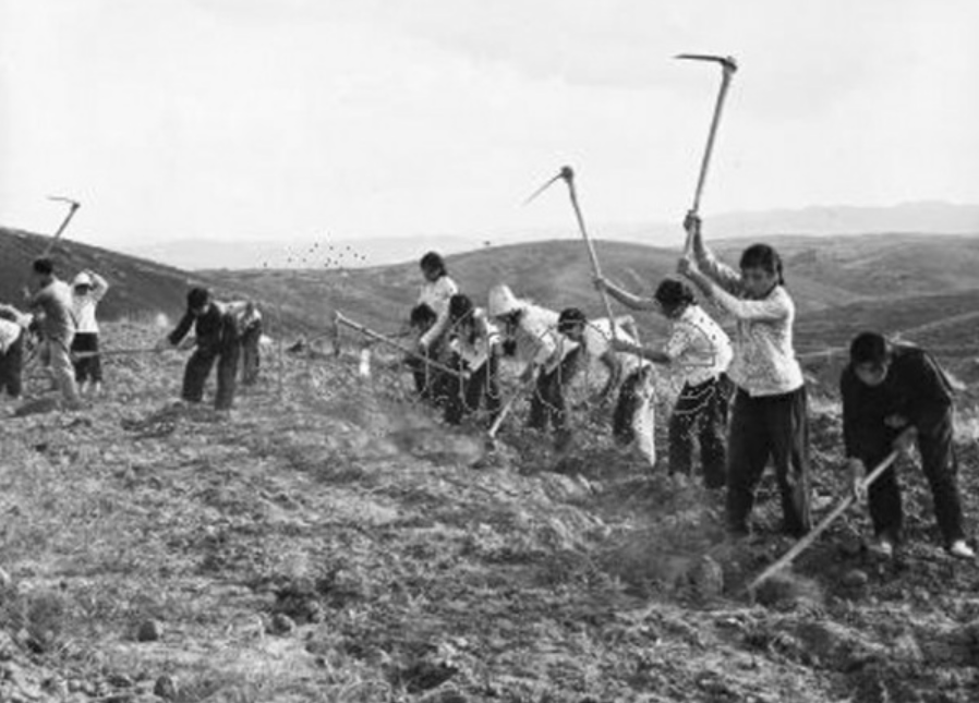 1976年，陕西老农挖出4具白骨，8年后中央来人揭开毛主席亲侄死因