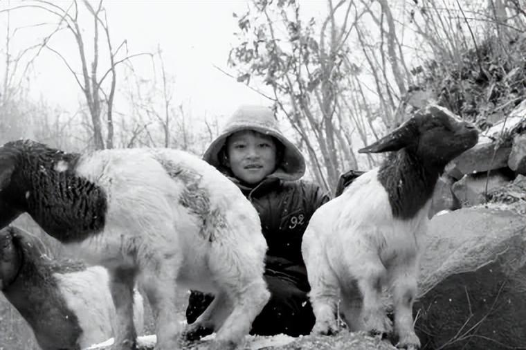 内蒙古一羊倌，放羊几十年获独门绝技，惊动警方，53岁成刑侦专家