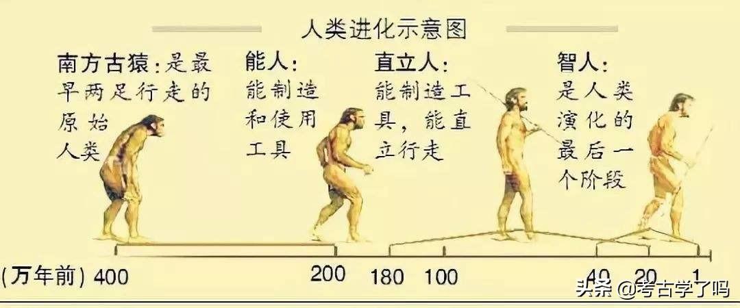 从丹尼索瓦人谈人类的“二次进化”和可能的马斯克“火星阴谋”