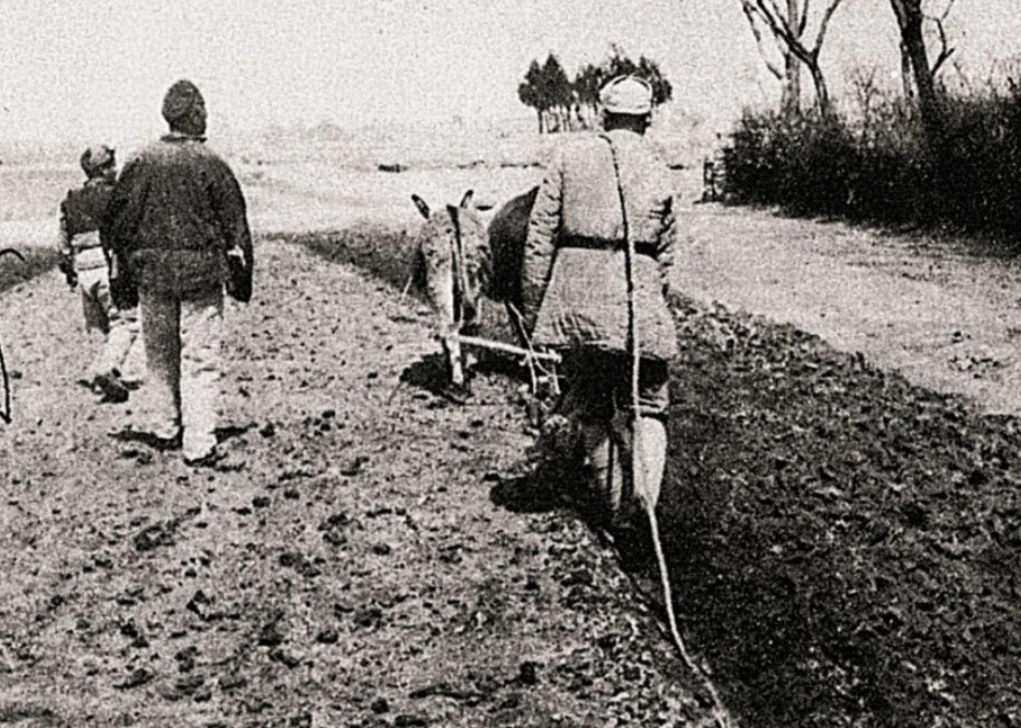 清朝时期，官员赴日进行农业考察的目的是什么？