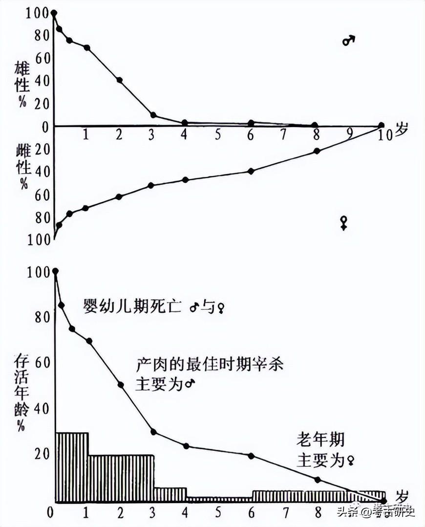 李志鹏：殷墟出土羊骨的动物考古学研究