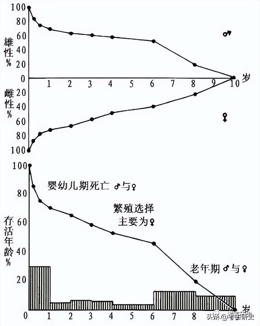 李志鹏：殷墟出土羊骨的动物考古学研究