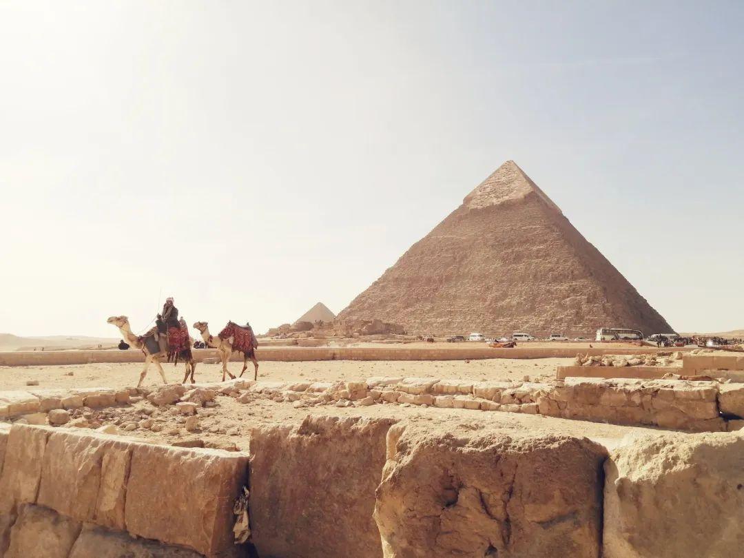 走进古埃及——探索动物图像背后的奥秘