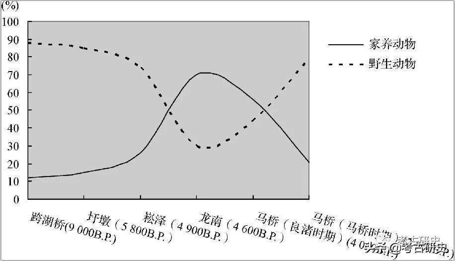 陈淳：稻作起源的考古学探索