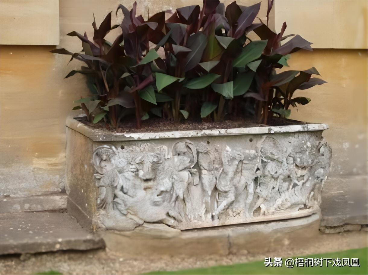 英国最贵的“花盆”，放在露天地200年无人知，识宝人戳破其身份