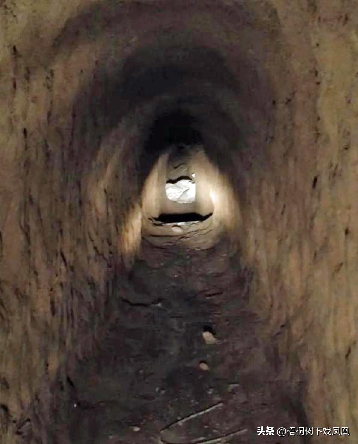 租民房称是养龙虾，一个月后发现房下有10米深洞，通向院外的古墓