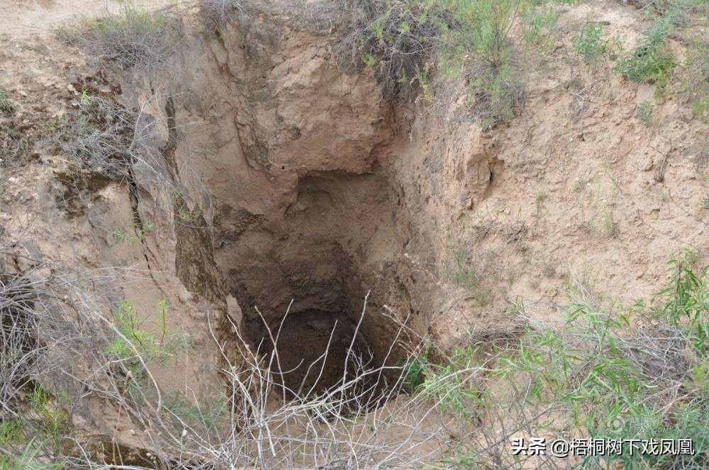 盗洞打得既准又深，考古队发掘时跟着洞口走，取得重大考古发现