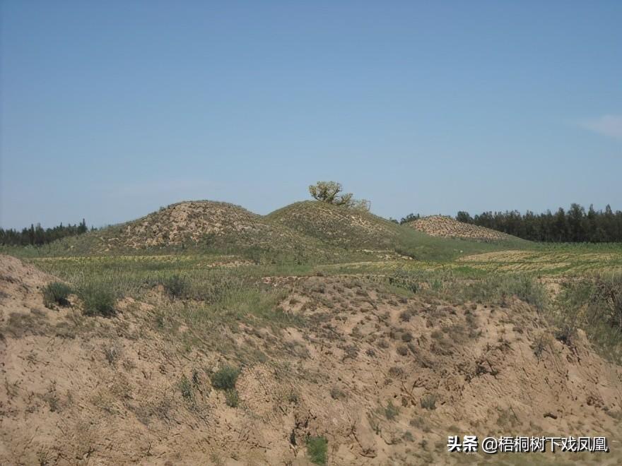 听说陪葬黄金银元，请来盗墓老手一块挖地主大坟，被当成了偷鱼的