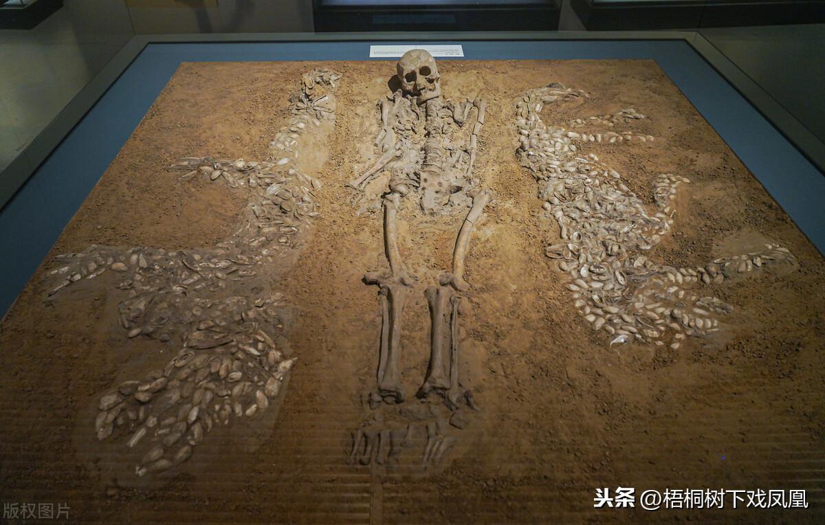 1987年河南挖到一座怪墓，三殉人二男一女，墓主或是黄帝对手