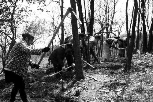 村民拼死阻止盗墓，见可能保不住自己挖出随葬品，这算什么行为？