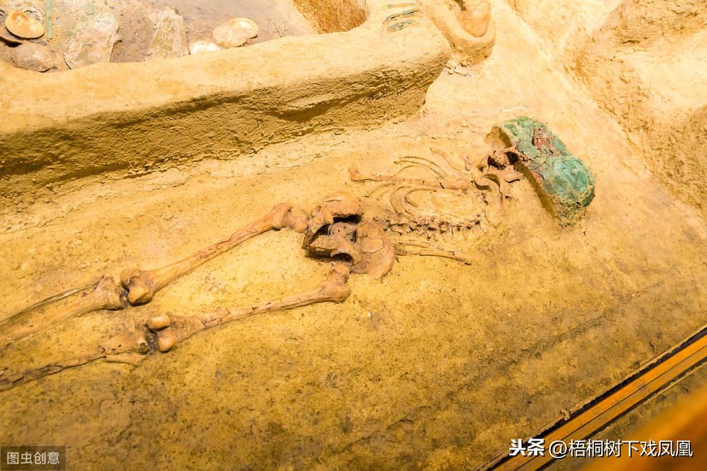 考古中的特殊发现，人的遗骸总会缺失某一部分，与一古老风俗有关