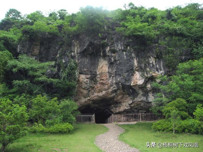 一封群众来信让中国有了惊世考古发现，距今万年已有袁隆平式专家