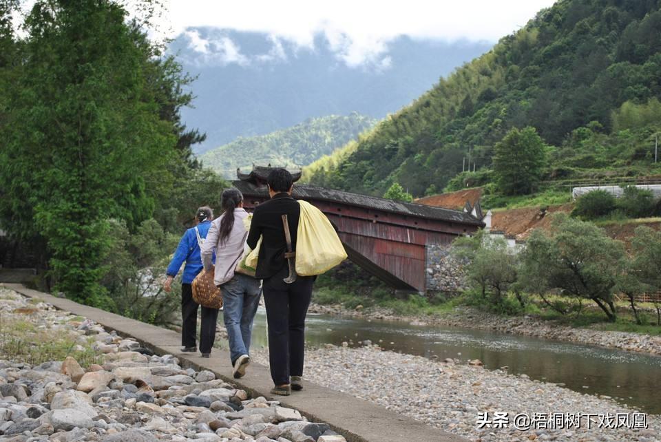 明朝时安徽发生一起离奇盗墓大案，只盗尸骨，高手外号“穿山甲”