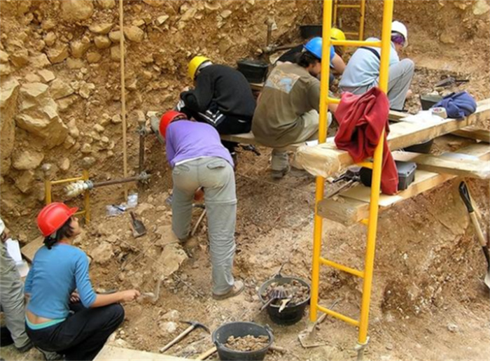 阿塔皮尔卡发现古代遗址 是人类进化的证据（进化证据）