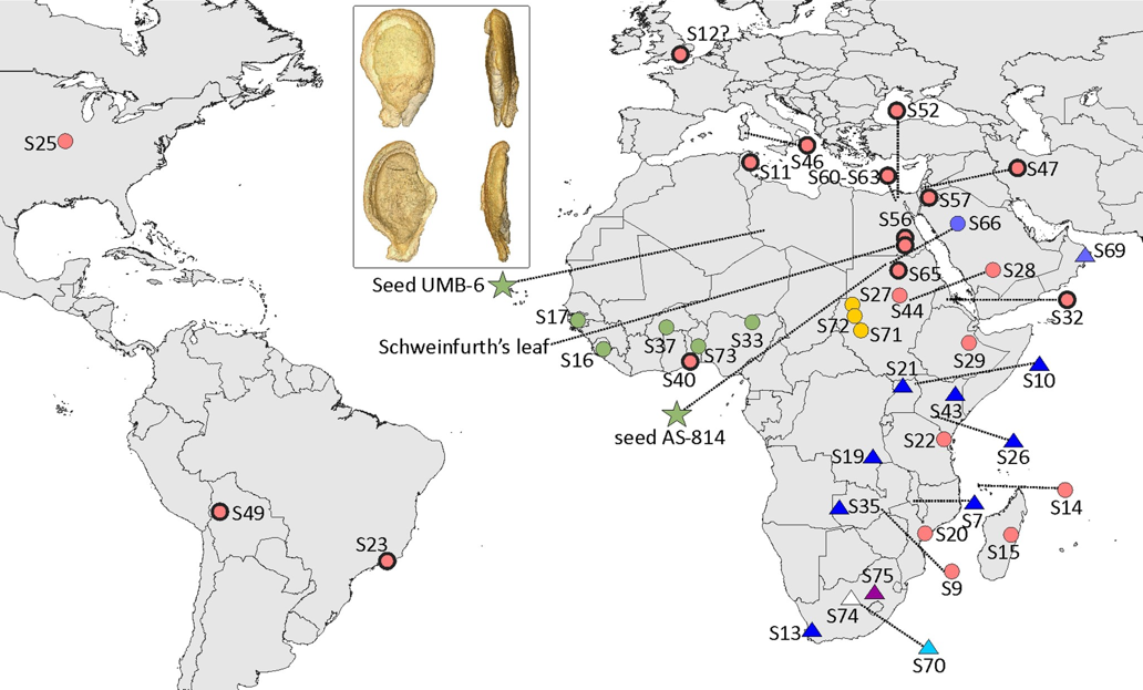 环球科学：6000年前，西瓜是苦的，甚至可能难以下咽