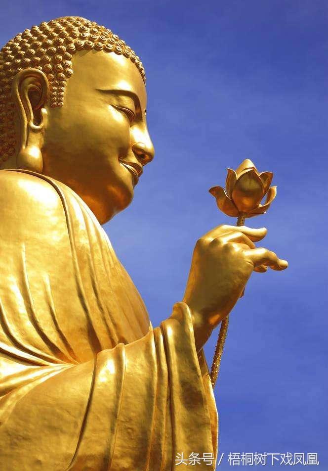 信佛的人为什么特别崇拜莲花？有一种说法流传很广