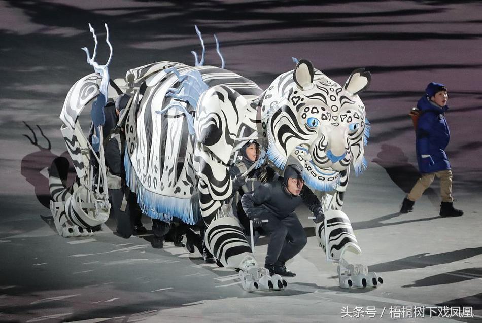 五行、四神兽作为“韩国元素”在平昌冬奥会上亮相，中国网友不服