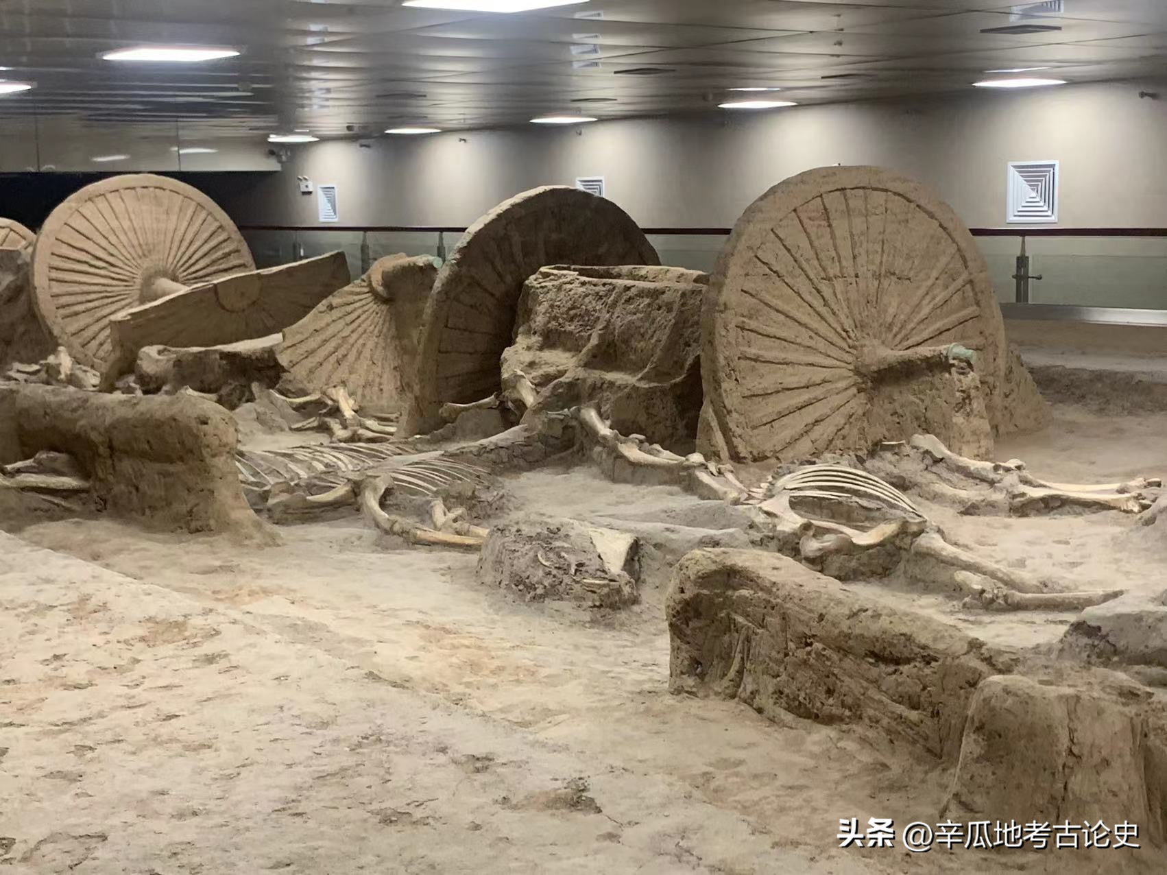 2022年游学：中国古车马博物馆通展