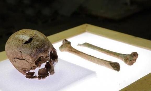河南发现一周初大墓，墓主或是商纣王哥哥，骨骸经日本鉴定约60