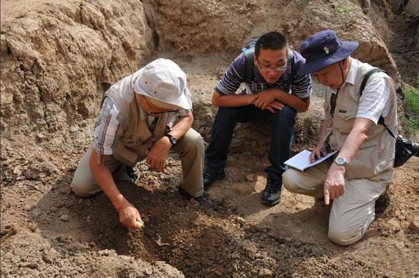 “考古学之父”竟是盗墓贼，日本用国家资金支持来中国盗墓内幕