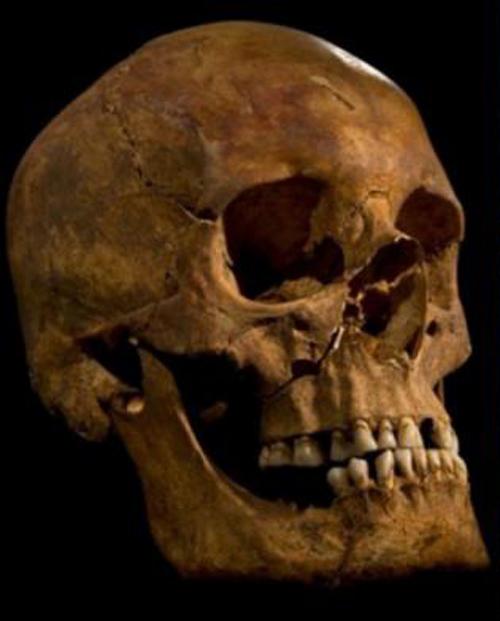 莎士比亚笔下暴君遗骸被考古发现，DNA检测推断妻子或与人通奸