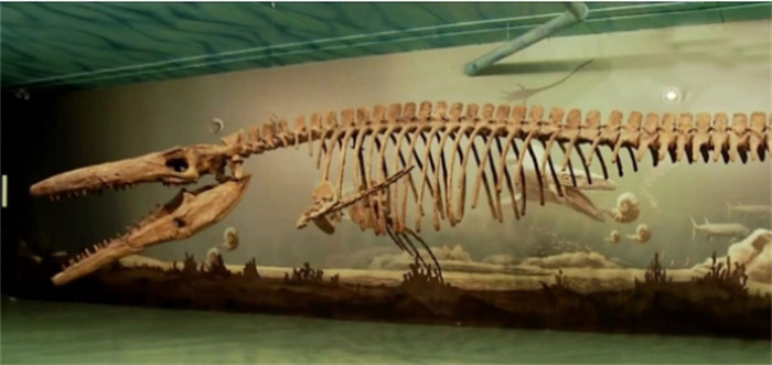 有没有一种可能，龙是古人们看到了恐龙的部分化石，猜想得来的？