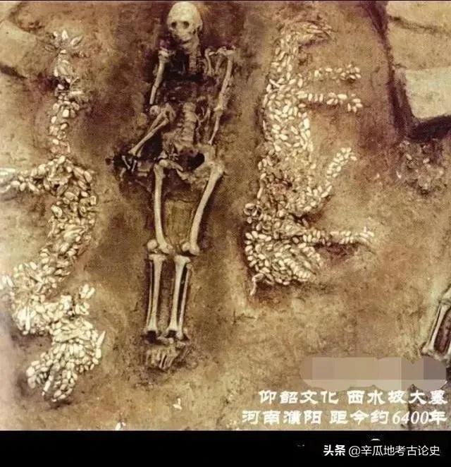 距今6500年的“中华第一龙”，出现在哪？墓主人又是谁？