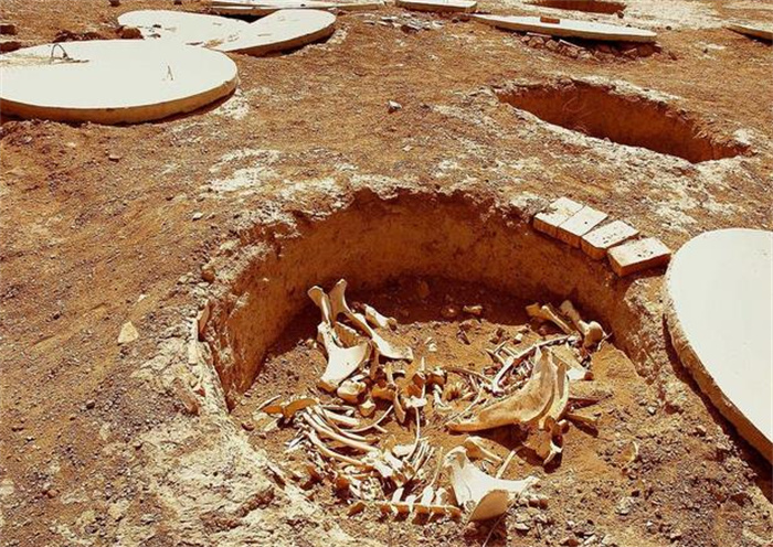 古代活人陪葬，人进去以后能在墓穴中活多久？真实情况让人唏嘘！