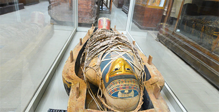 埃及塞加拉古墓群发现迄今最大防腐作坊