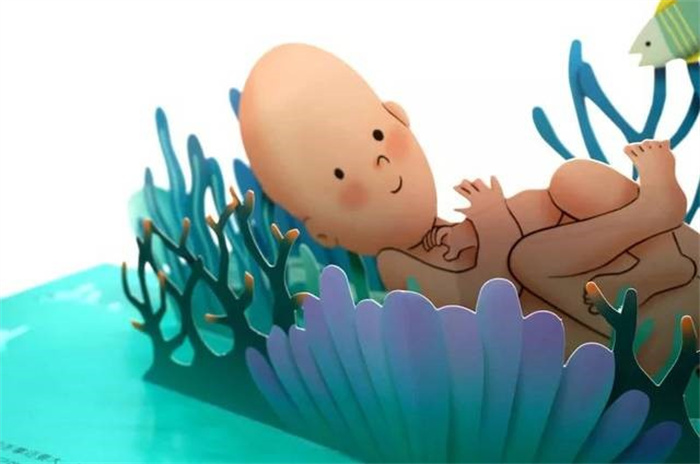 生命是怎么孕育的呢 来看看从细胞到婴儿的全过程吧 也太详细了