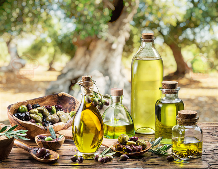 世界上橄榄油出产最多的国家是哪里