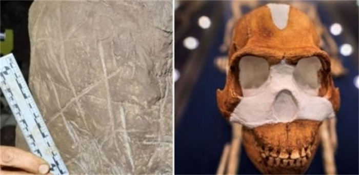 南非考古学家发现古老墓葬 距今至少20万年