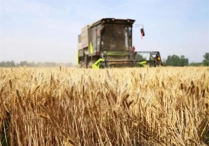 全国“三夏”麦收进度逾半