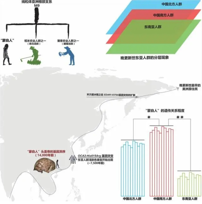中国人直发起源始于1.9万年前，皮肤变白始于7500年前