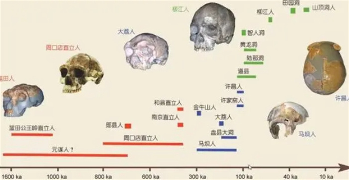 中国发现的化石增多后，夏娃理论遭到质疑，人类或并非起源于非洲