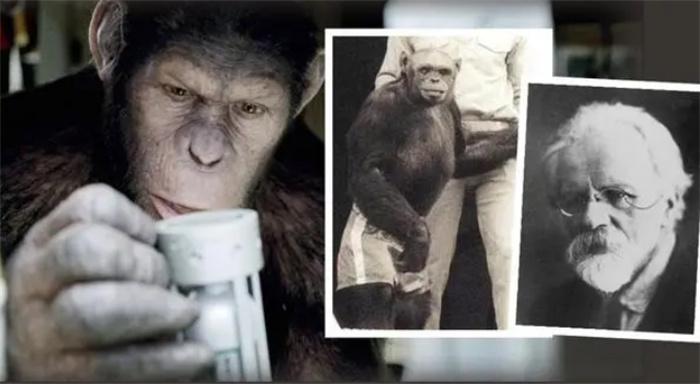 苏联科学家曾试图使“人猿杂交”，结果如何？真存在可行度吗？