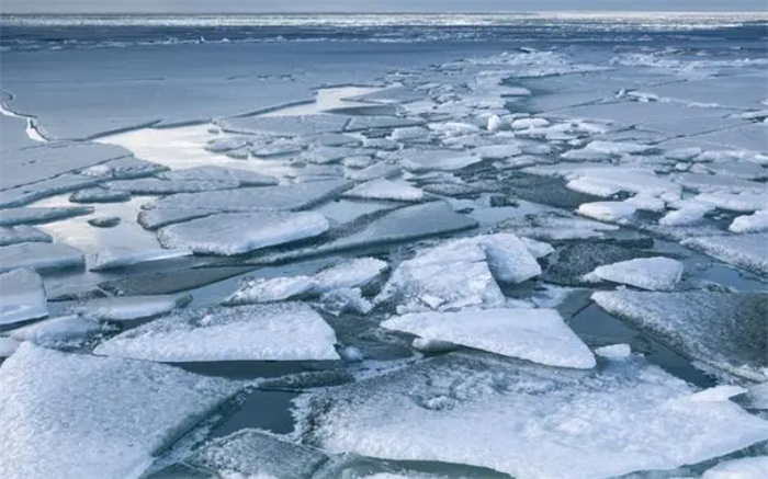 北极发现5.7万年前尸体 科学家担心有更危险东西 人类需要警惕
