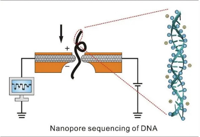 人类基因组测序达成100%，意味着什么？为何说打开了潘多拉魔盒？