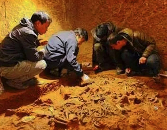 江苏特大发现！发掘出一男四女合葬墓，出土一只金蝉价值9个亿