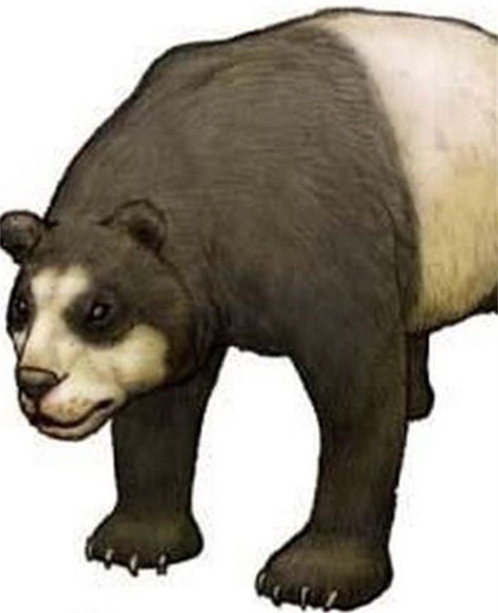 大熊猫的祖先是谁 大熊猫的祖先是食肉动物吗（是）