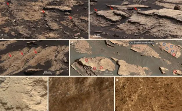 史前生物骨架  好奇号发现了古怪的尖刺  火星上真的存在生命吗