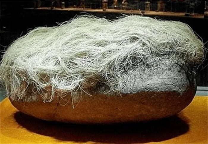 1987年，辽宁男子花1.8万买下一块长满白发的石头，半年竟长了2cm