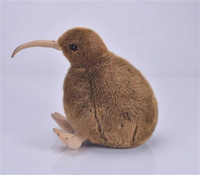 新西兰有种喜欢窃钥匙的鸟，为何成为重点保护动物，原因只有一个