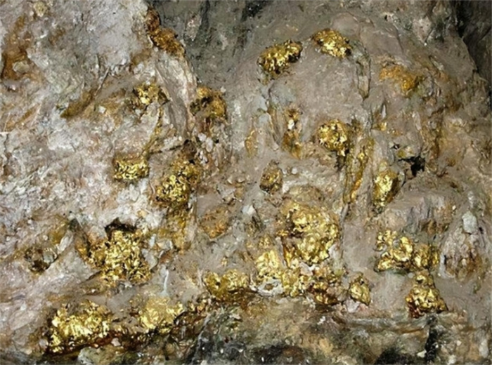 88年，河南村民捡到2斤黄色石头，检测发现是万年难遇“狗头金”