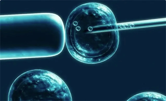 日本批准“人兽杂交胚胎实验”，创新还是离谱？