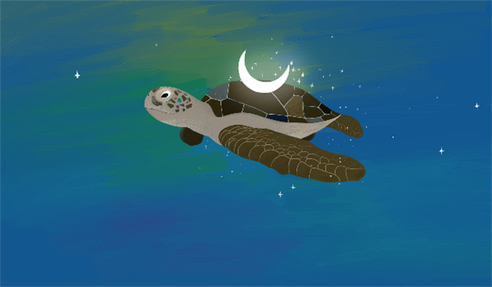 黄河中的神秘巨龟 到底是真是假？（黄河巨龟）